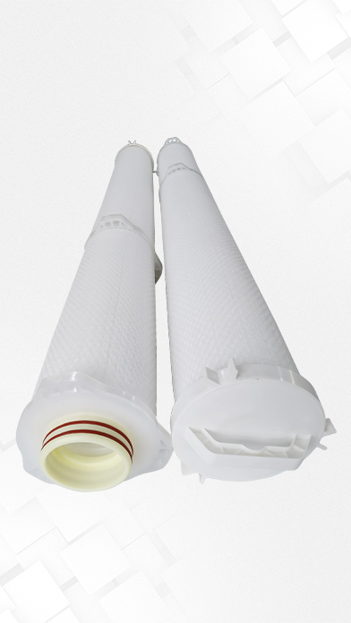 Pentair Aqualine High Flow Cartridge Filter lefilter